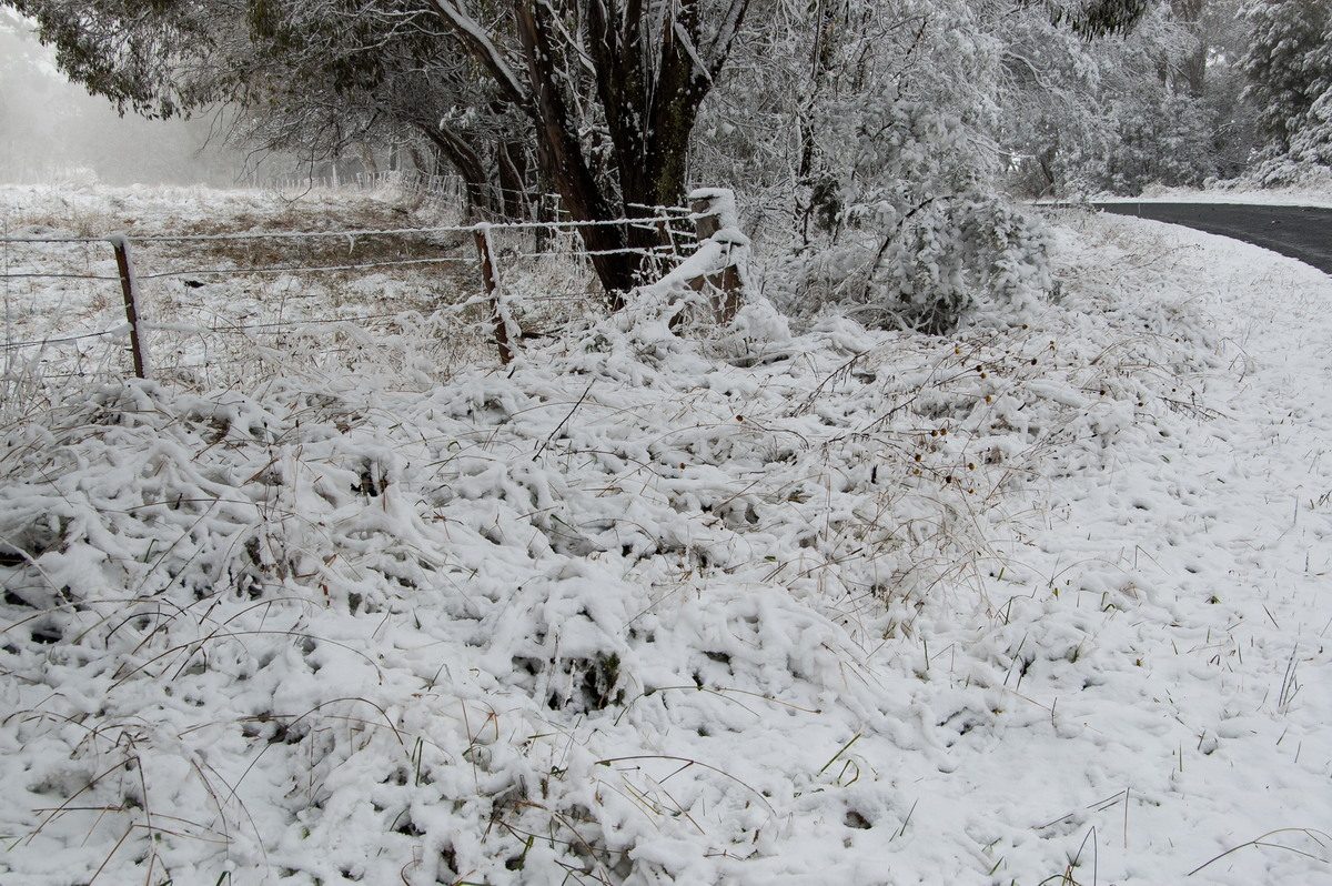 snow snow_pictures : Ben Lomond, NSW   18 May 2008