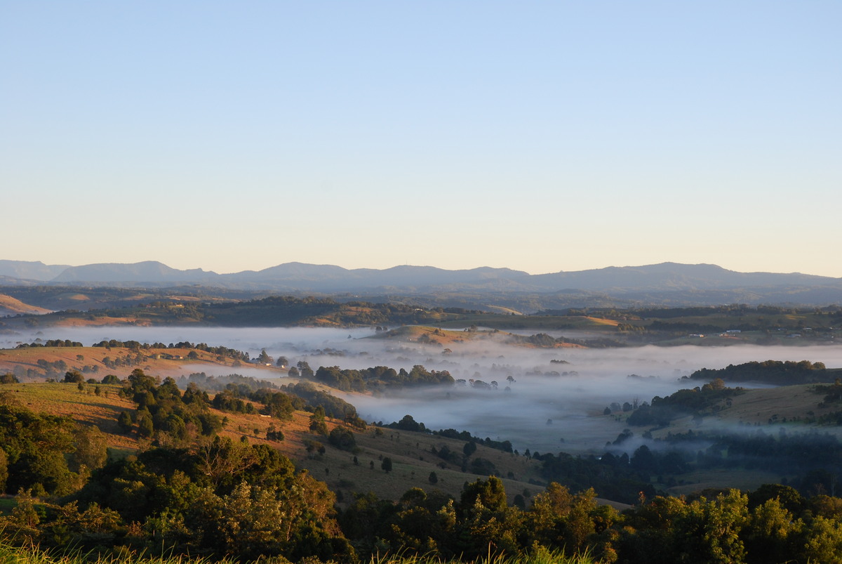 fogmist fog_mist_frost : Ben Lomond, NSW   20 May 2008