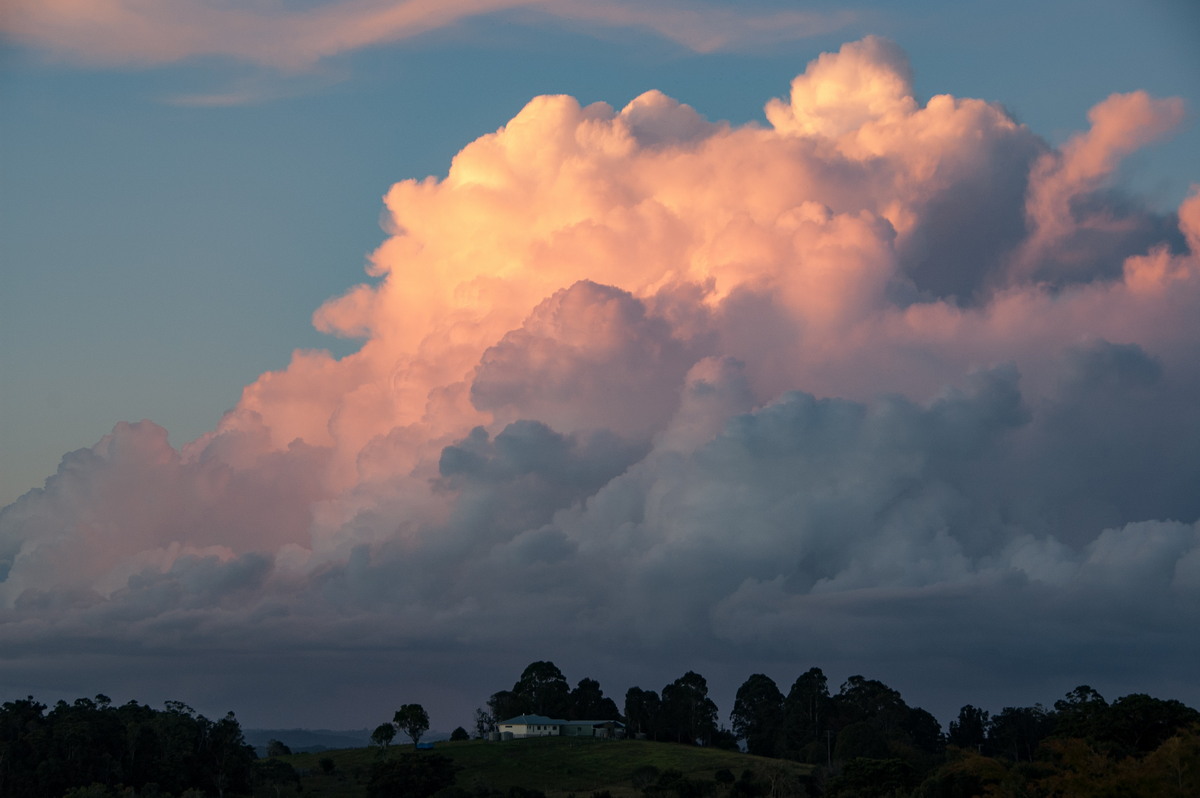 cumulus mediocris : McLeans Ridges, NSW   23 May 2008