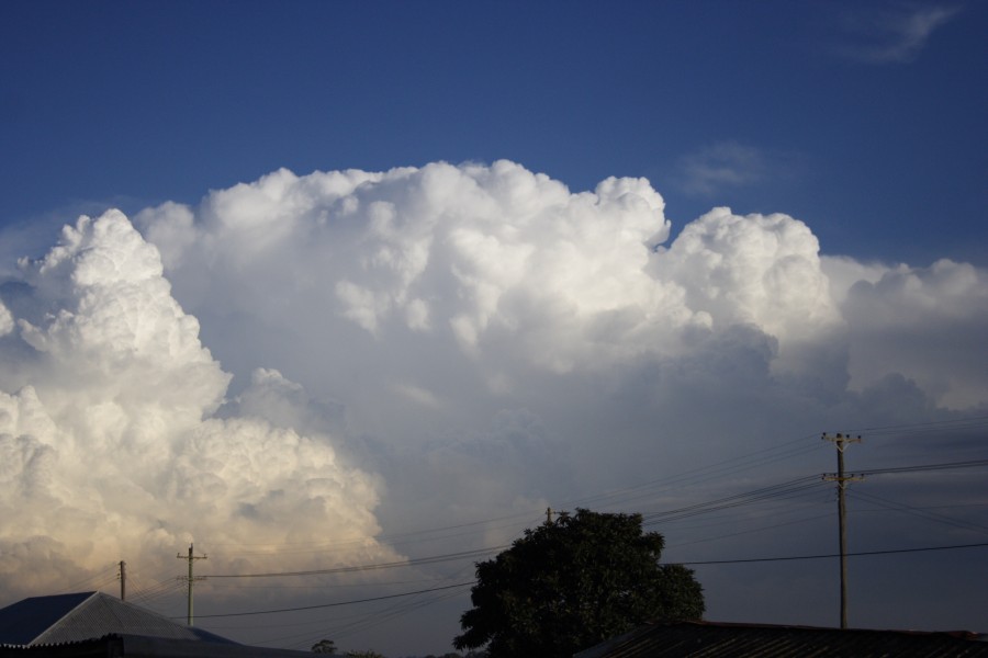 thunderstorm cumulonimbus_calvus : Schofields, NSW   28 May 2008