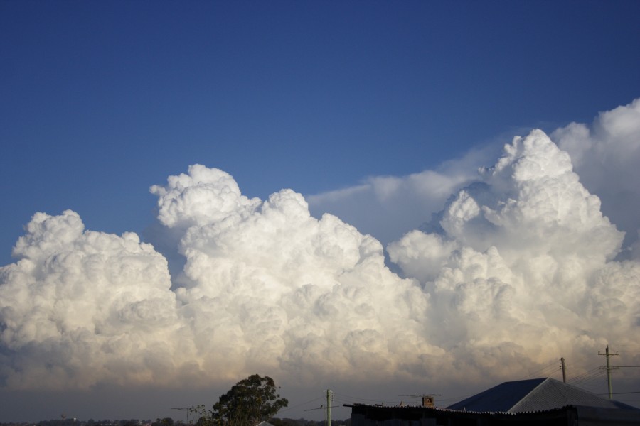 thunderstorm cumulonimbus_calvus : Schofields, NSW   28 May 2008