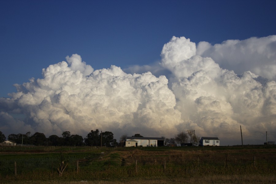 thunderstorm cumulonimbus_incus : Schofields, NSW   28 May 2008