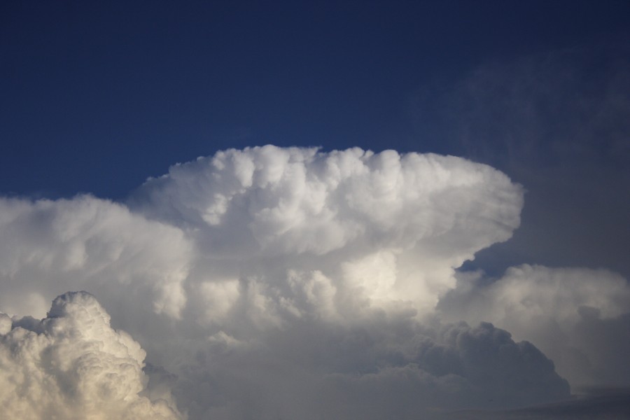 anvil thunderstorm_anvils : Schofields, NSW   28 May 2008