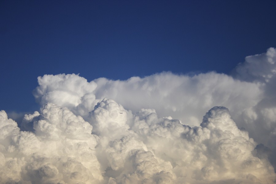 thunderstorm cumulonimbus_calvus : Schofields, NSW   28 May 2008