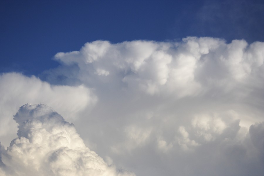 anvil thunderstorm_anvils : Schofields, NSW   28 May 2008