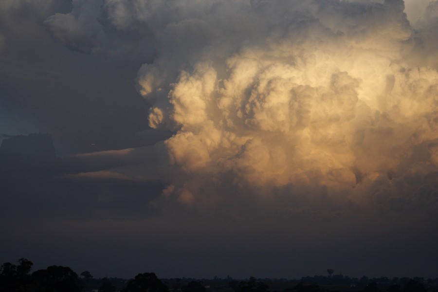 inflowband thunderstorm_inflow_band : Schofields, NSW   28 May 2008