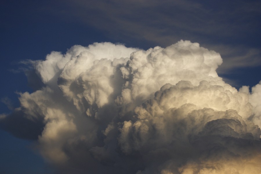 thunderstorm cumulonimbus_calvus : Schofields, NSW   28 May 2008