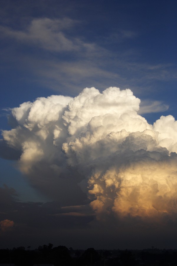 updraft thunderstorm_updrafts : Schofields, NSW   28 May 2008