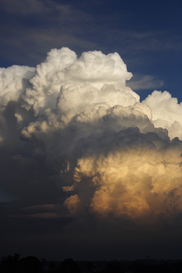 thunderstorm cumulonimbus_calvus : Schofields, NSW   28 May 2008