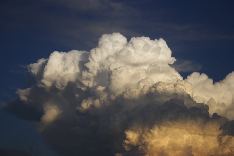 thunderstorm cumulonimbus_calvus : Schofields, NSW   28 May 2008