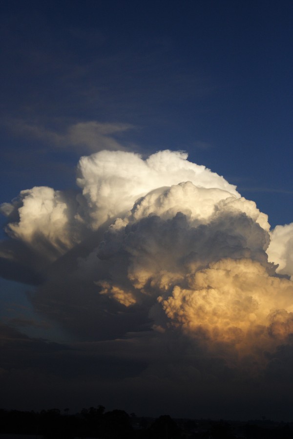 thunderstorm cumulonimbus_calvus : Schofields, NSW   28 May 2008