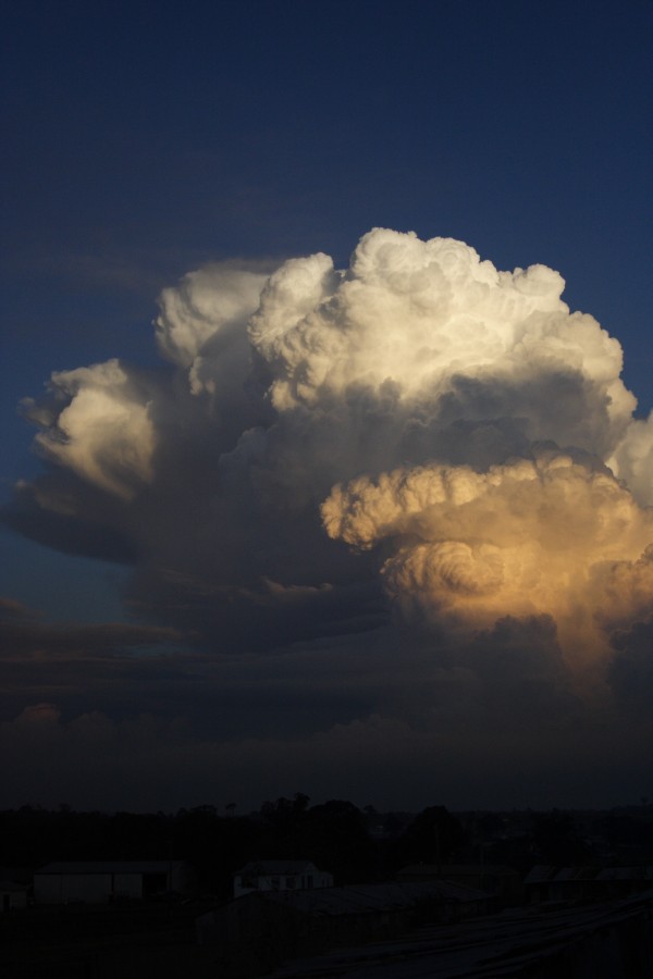 thunderstorm cumulonimbus_calvus : Schofields, NSW   28 May 2008