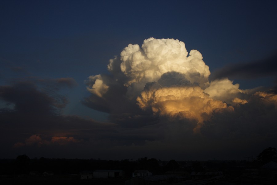 thunderstorm cumulonimbus_calvus : Schofields, NSW   28 May 2008