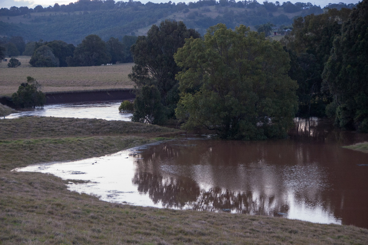 flashflooding flood_pictures : Eltham, NSW   3 June 2008