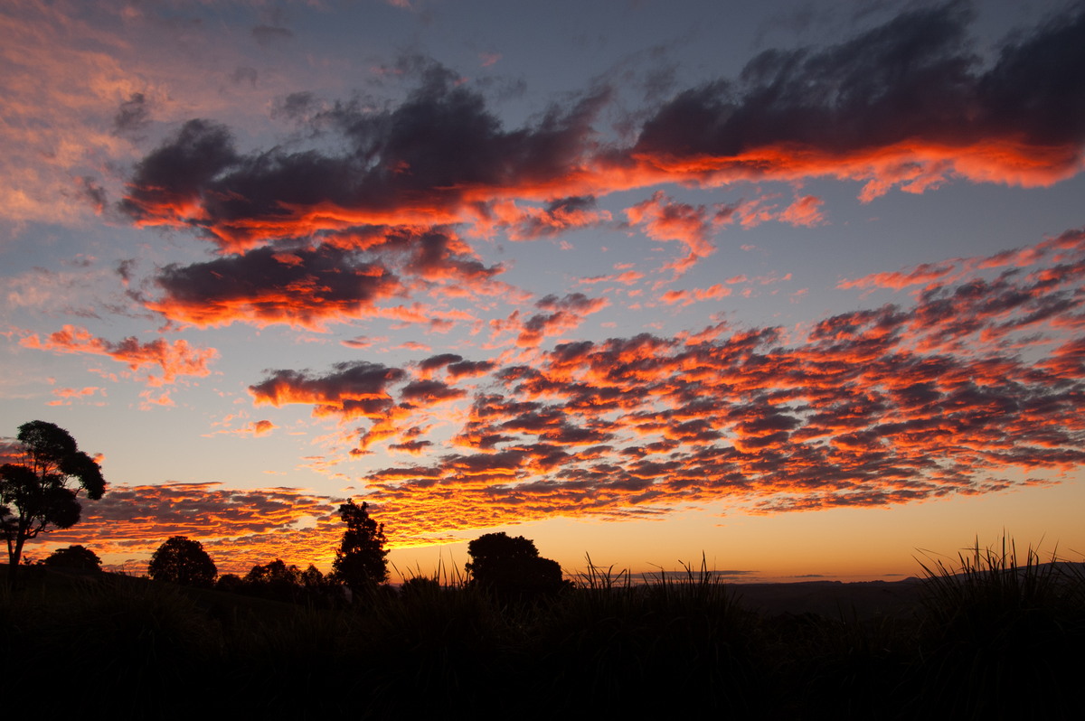 sunset sunset_pictures : McLeans Ridges, NSW   12 June 2008