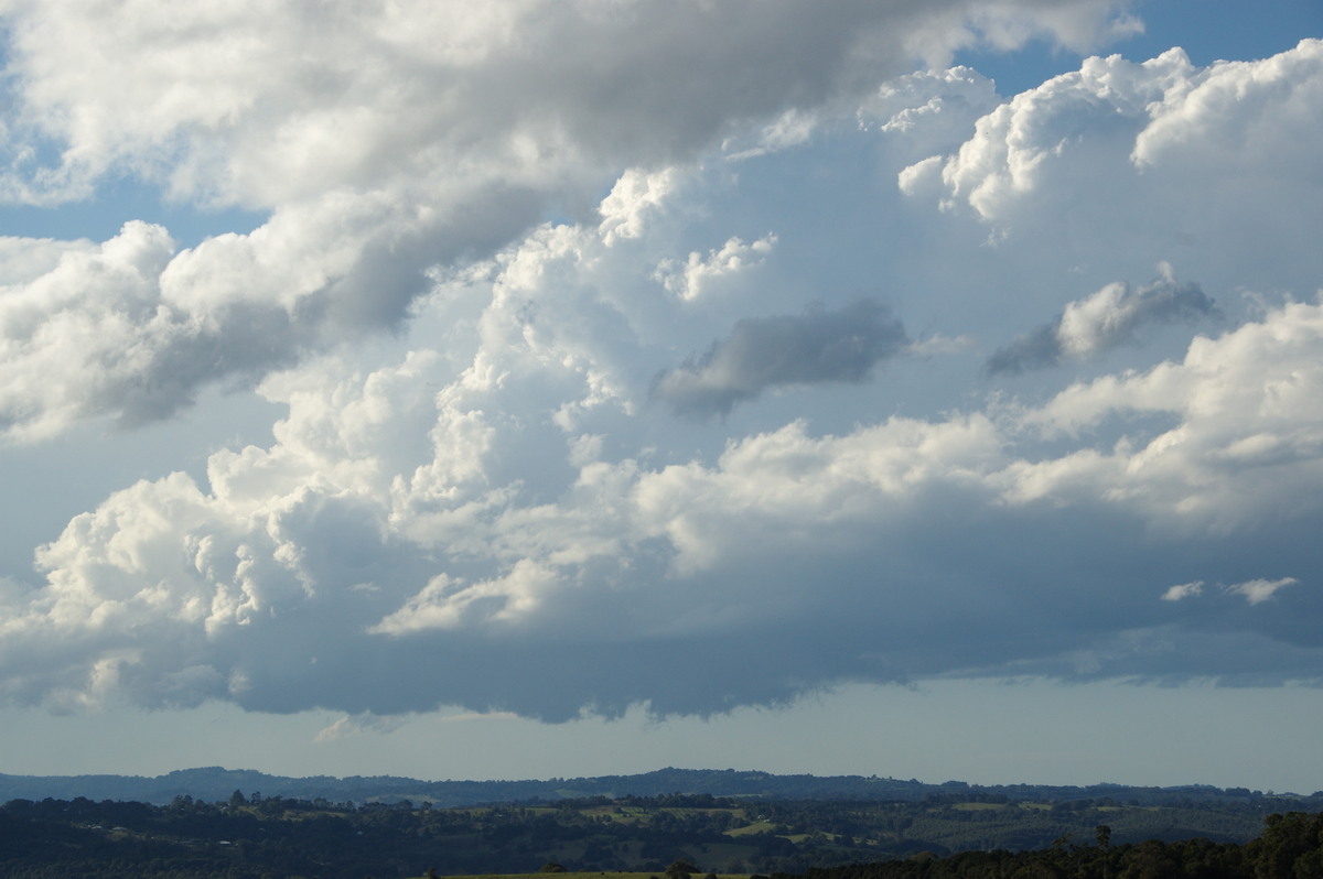 cumulus congestus : McLeans Ridges, NSW   20 June 2008
