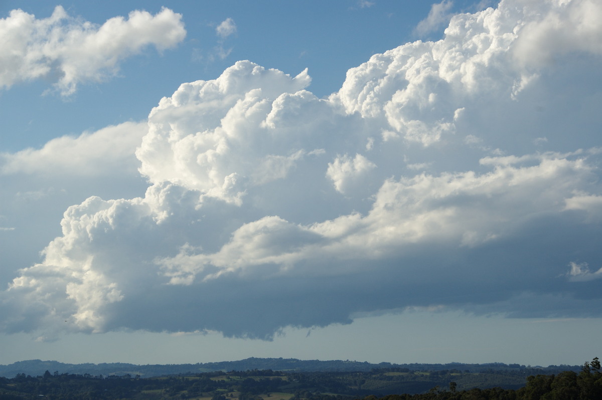 cumulus congestus : McLeans Ridges, NSW   20 June 2008