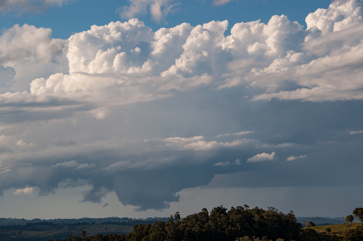 cumulus congestus : McLeans Ridges, NSW   20 June 2008