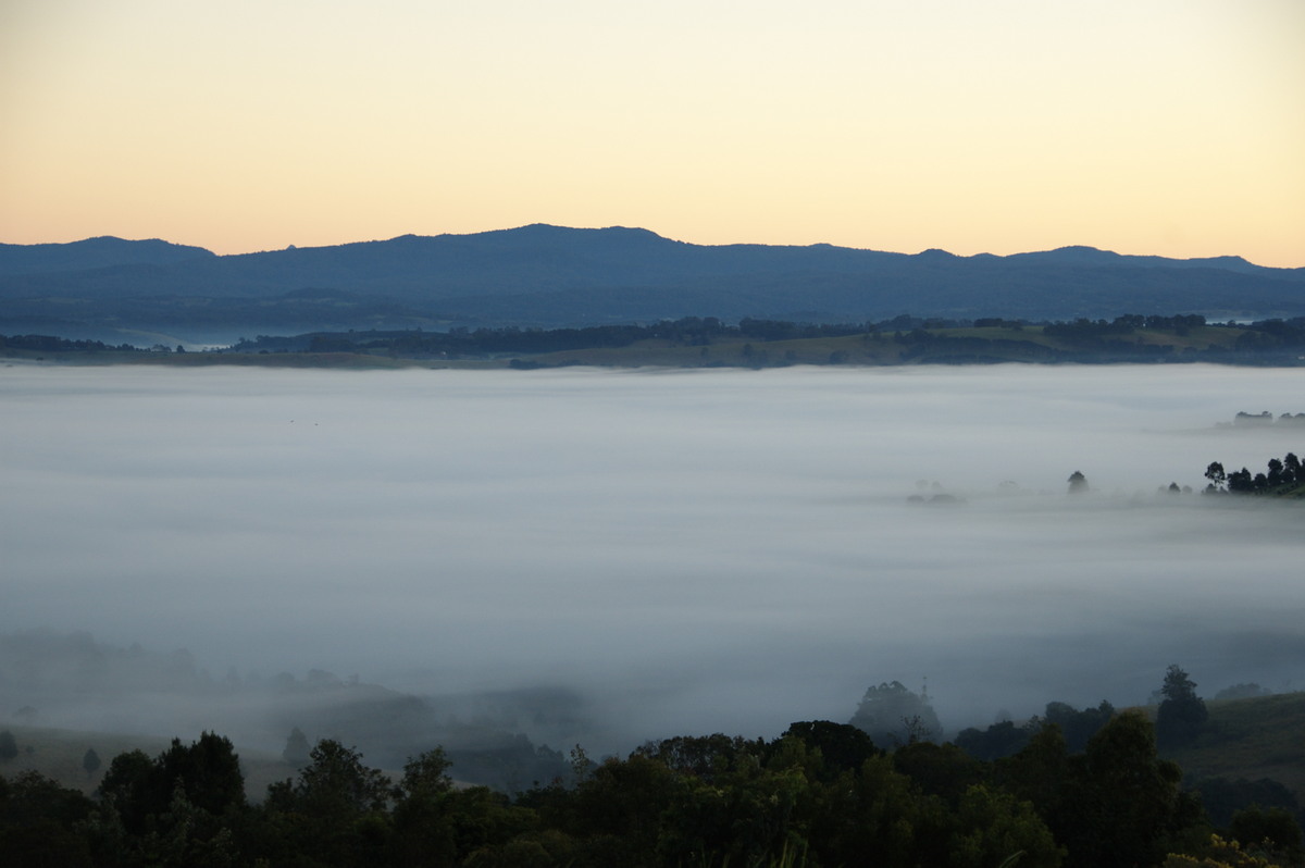 fogmist fog_mist_frost : McLeans Ridges, NSW   26 June 2008