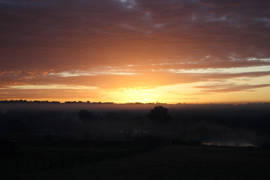 fogmist fog_mist_frost : Schofields, NSW   6 July 2008