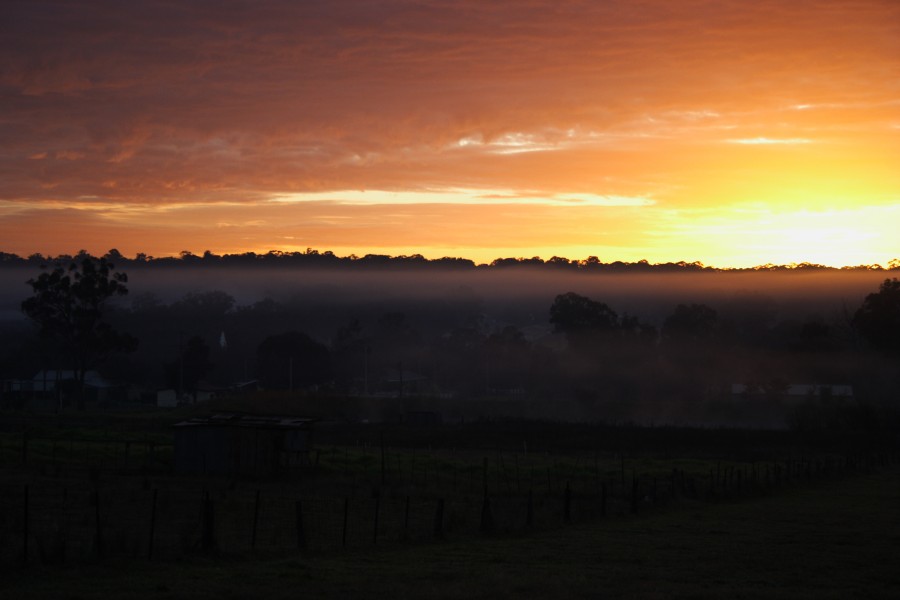 fogmist fog_mist_frost : Schofields, NSW   6 July 2008