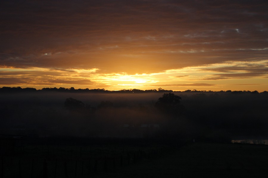 fogmist fog_mist_frost : Schofields, NSW   6 July 2008