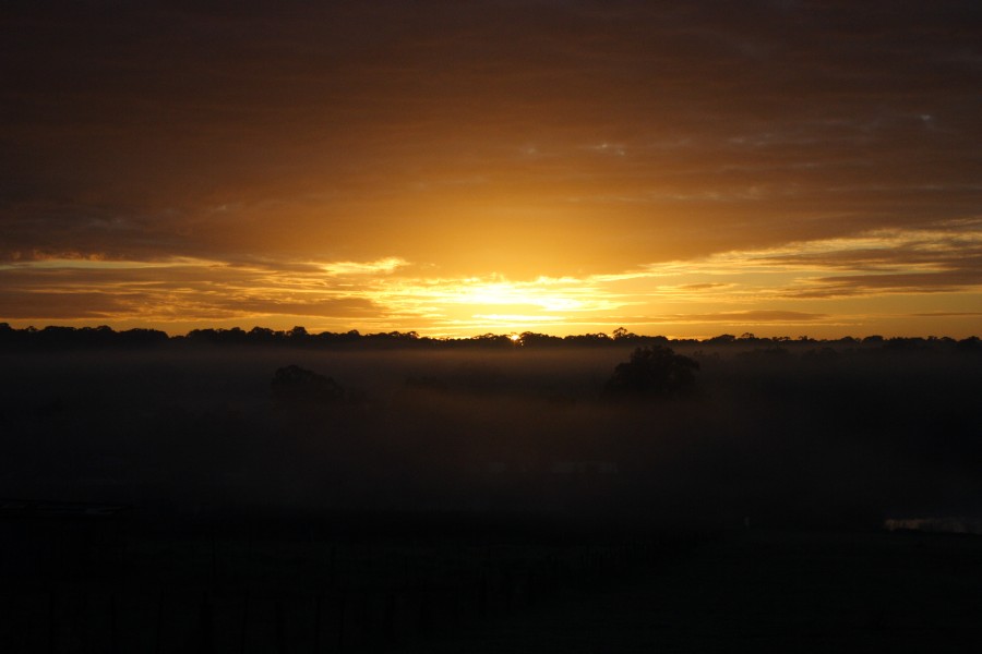 fogmist fog_mist_frost : Schofields, NSW   6 July 2008