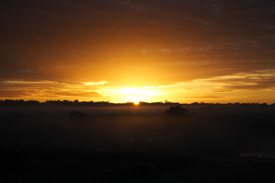 fogmist fog_mist_frost : Schofields, NSW   6 July 2008