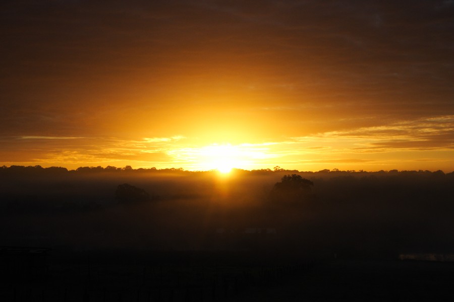 sunrise sunrise_pictures : Schofields, NSW   6 July 2008