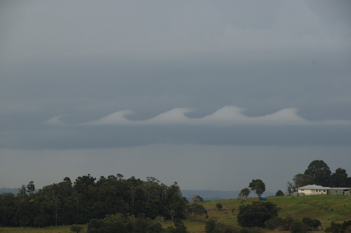 nimbostratus nimbostratus_cloud : McLeans Ridges, NSW   15 July 2008