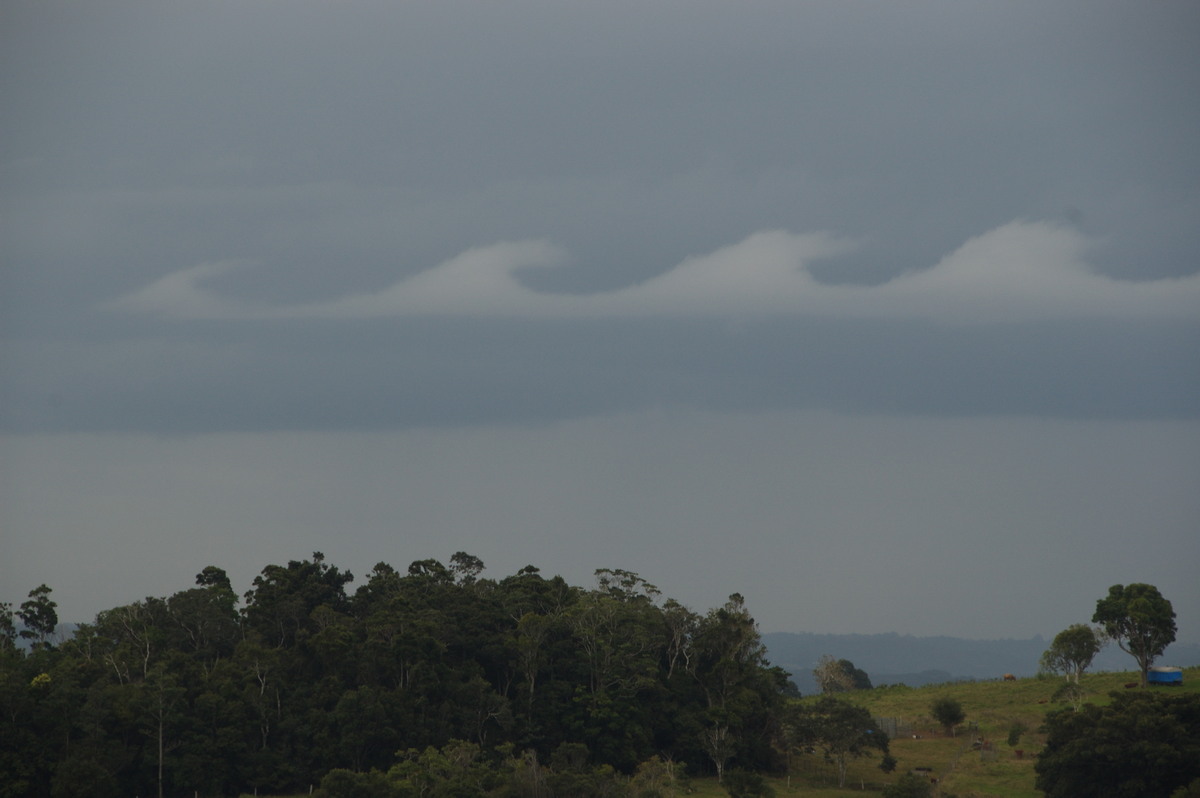 nimbostratus nimbostratus_cloud : McLeans Ridges, NSW   15 July 2008