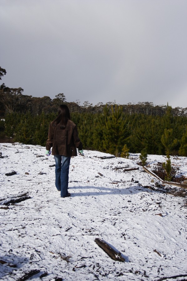 snow snow_pictures : Shooters Hill, NSW   27 July 2008