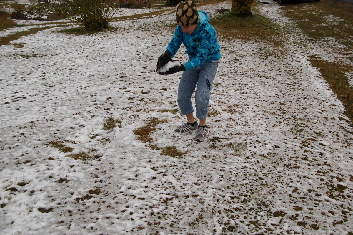 snow snow_pictures : Guyra, NSW   28 July 2008