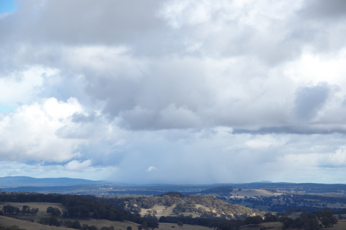 cumulus mediocris : Ben Lomond, NSW   28 July 2008