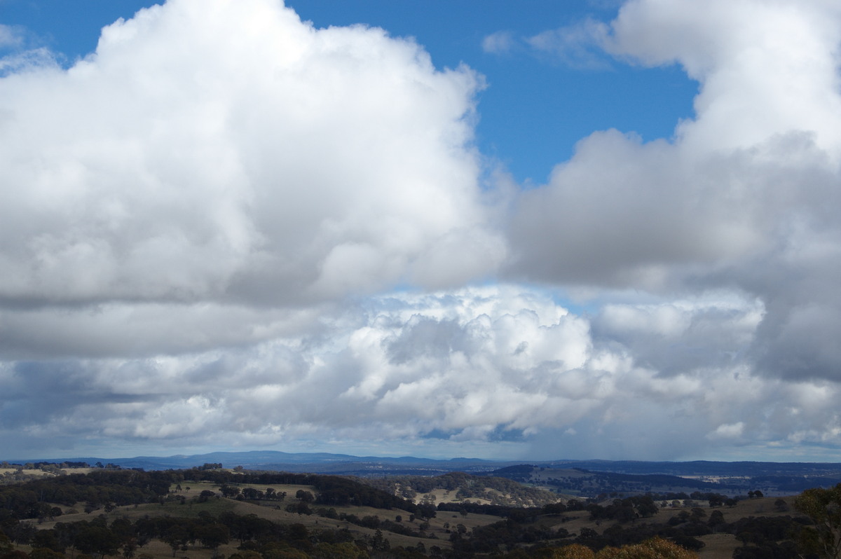 cumulus mediocris : Ben Lomond, NSW   28 July 2008