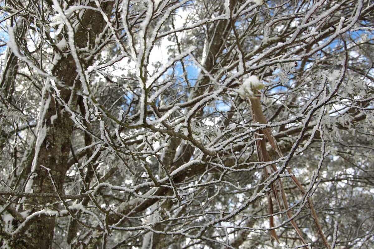 snow snow_pictures : Ben Lomond, NSW   28 July 2008