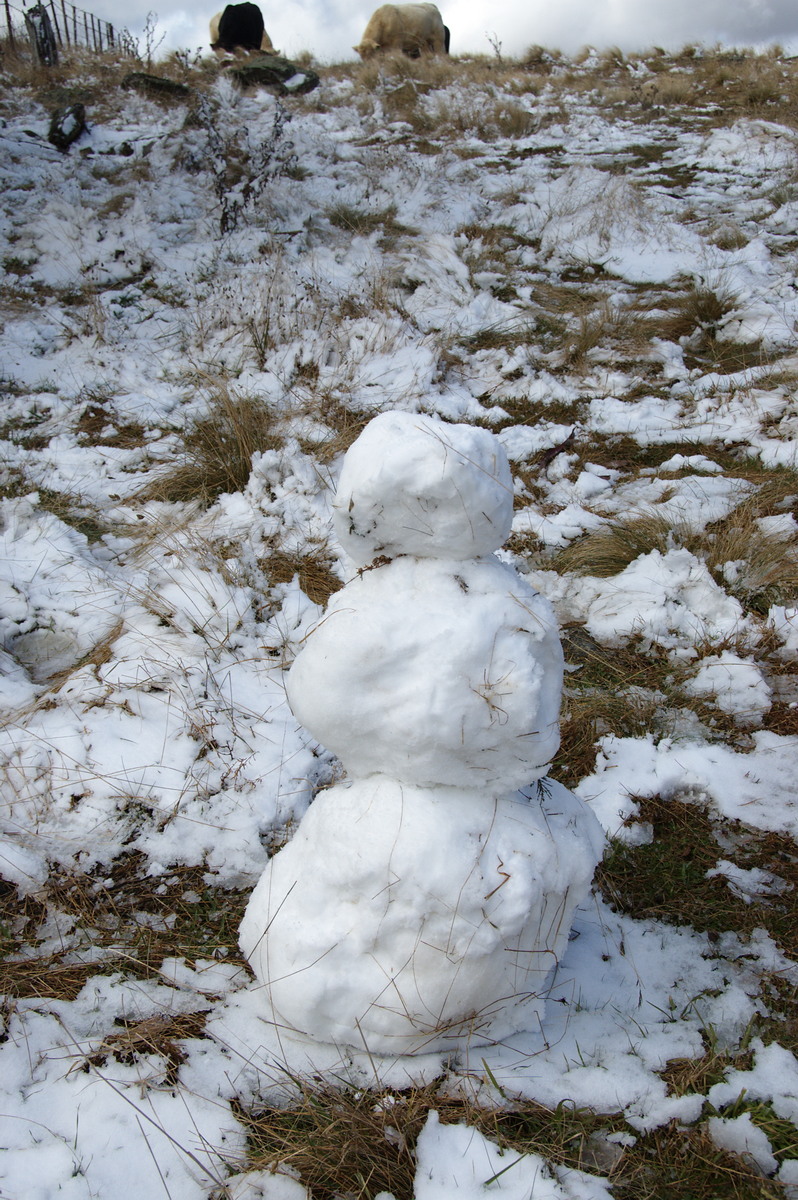 snow snow_pictures : Ben Lomond, NSW   28 July 2008