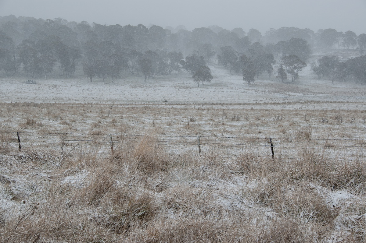 snow snow_pictures : Ben Lomond, NSW   28 July 2008