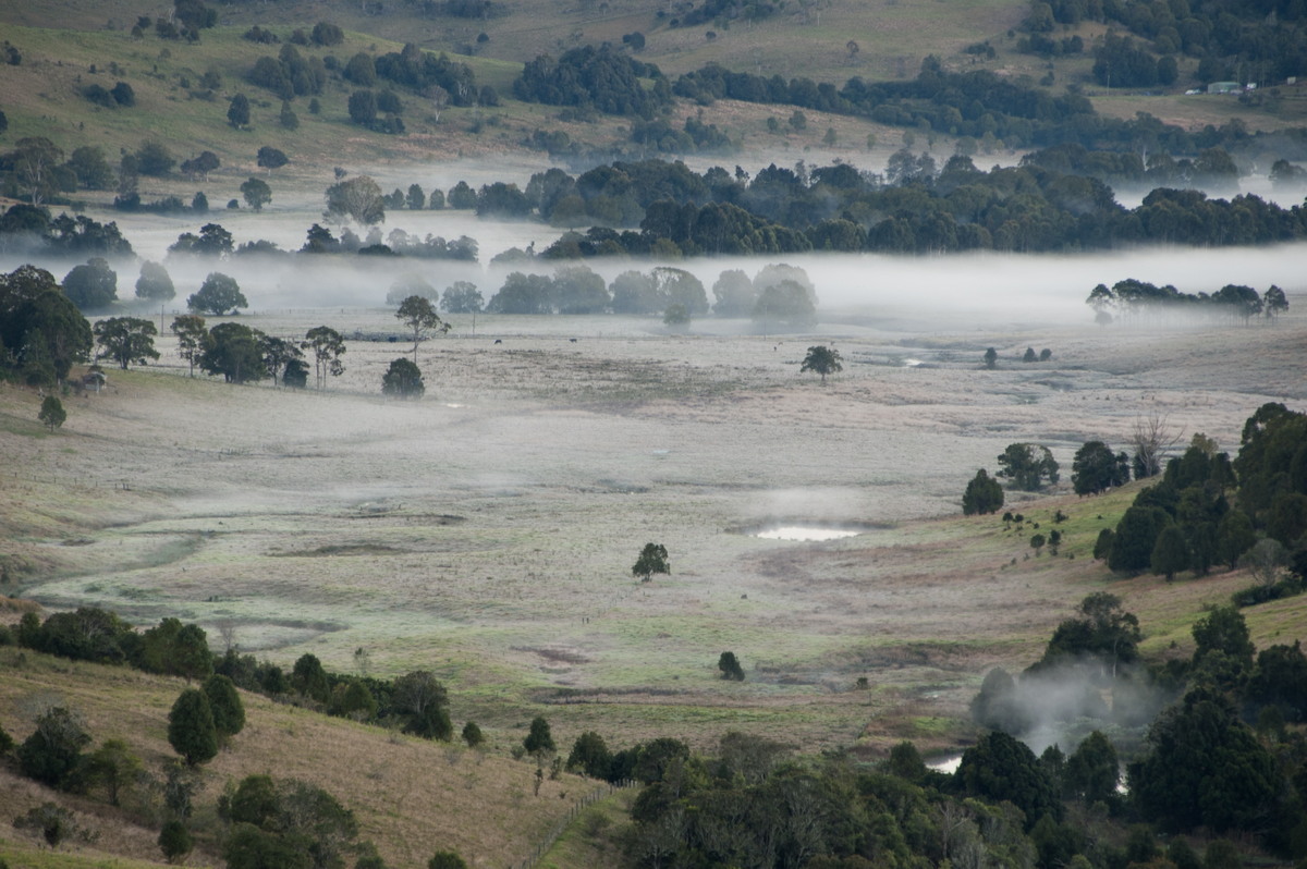 fogmist fog_mist_frost : McLeans Ridges, NSW   31 July 2008