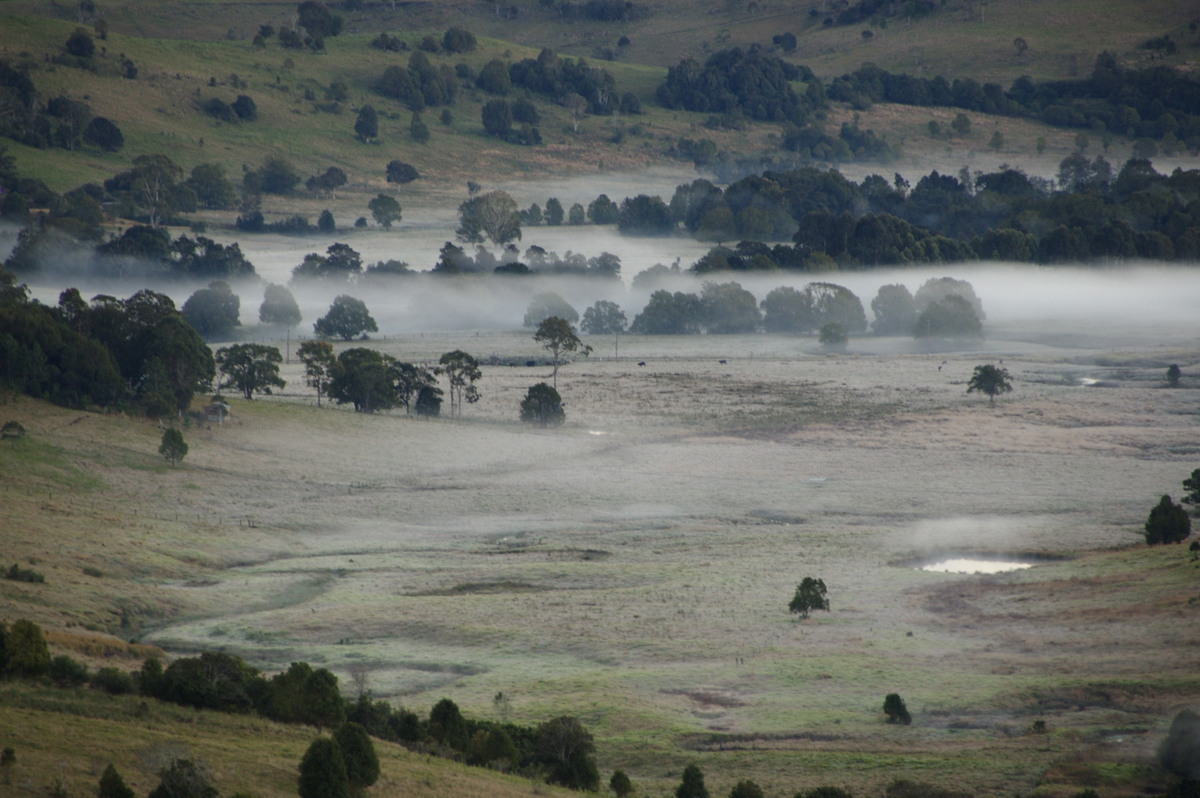 fogmist fog_mist_frost : McLeans Ridges, NSW   31 July 2008