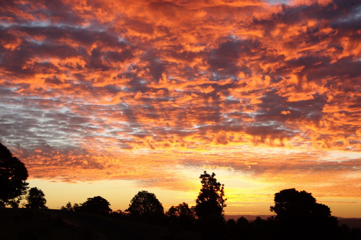 sunset sunset_pictures : McLeans Ridges, NSW   3 August 2008