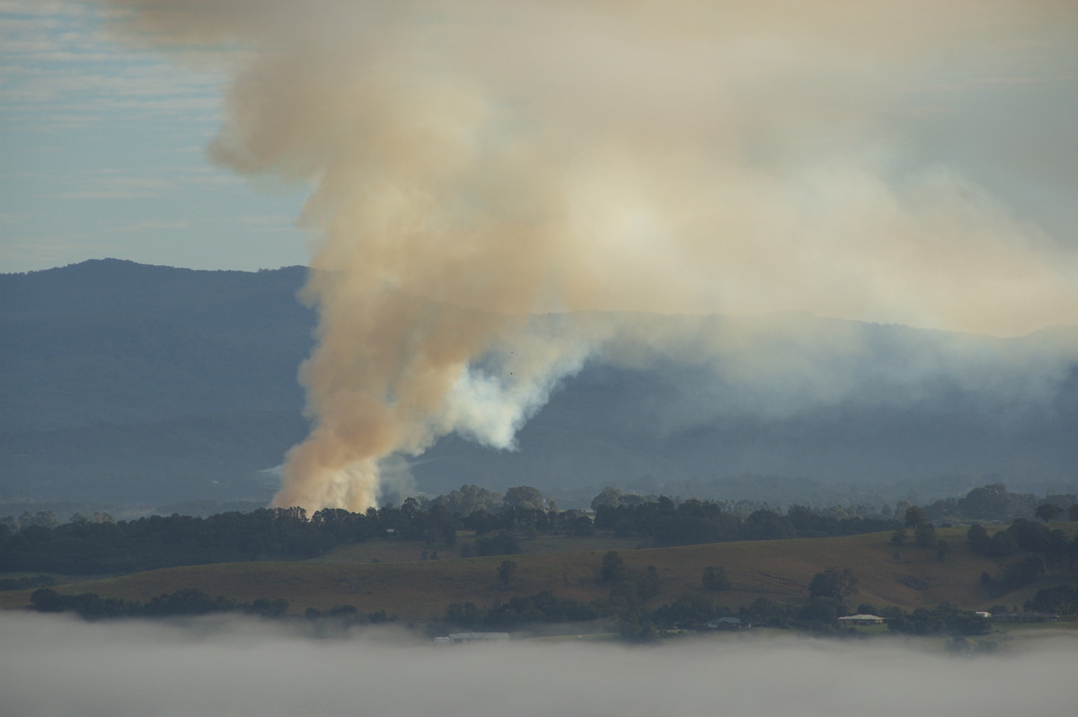 bushfire wild_fire : McLeans Ridges, NSW   4 August 2008