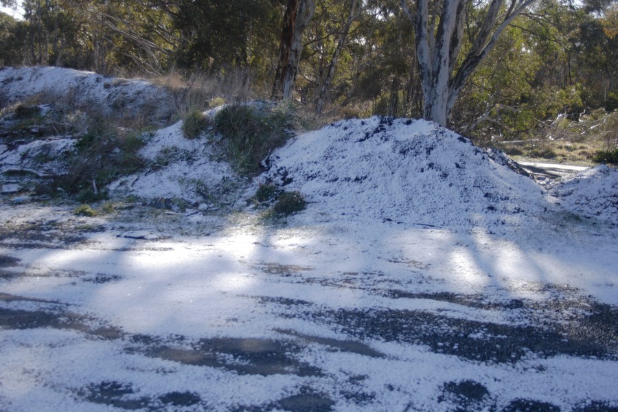 snow snow_pictures : Scenic Hill, NSW   10 August 2008
