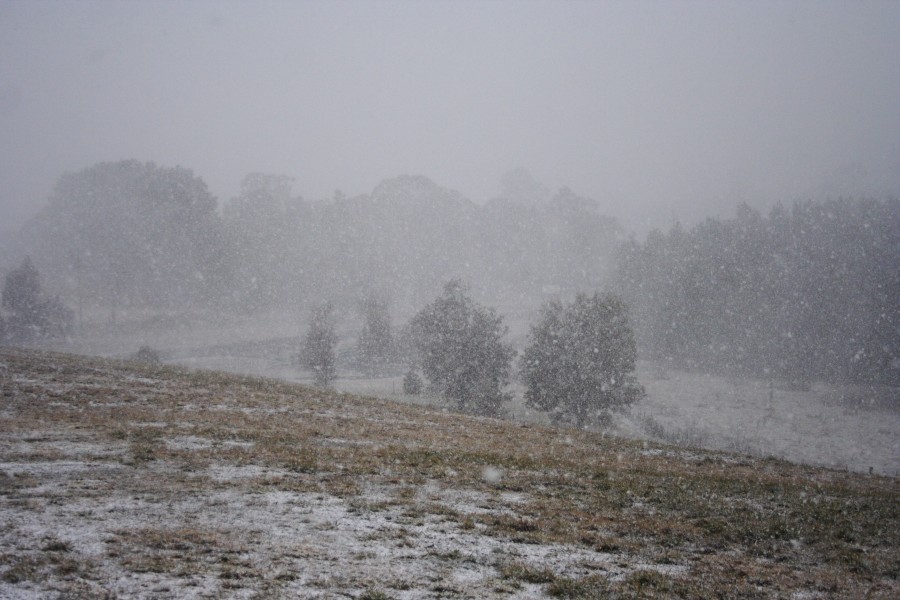 snow snow_pictures : Oberon, NSW   10 August 2008
