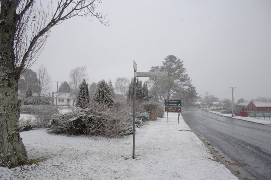 snow snow_pictures : Oberon, NSW   10 August 2008