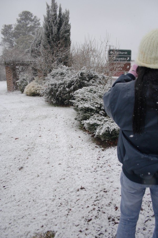 snow snow_pictures : Oberon, NSW   10 August 2008