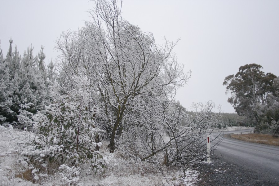 snow snow_pictures : S of Oberon, NSW   10 August 2008