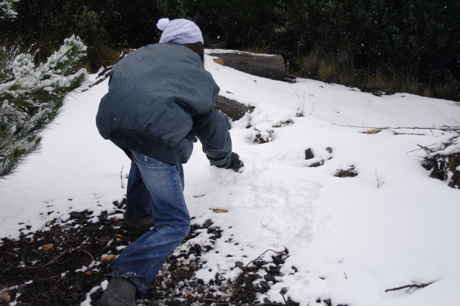 snow snow_pictures : S of Shooters Hill, NSW   10 August 2008