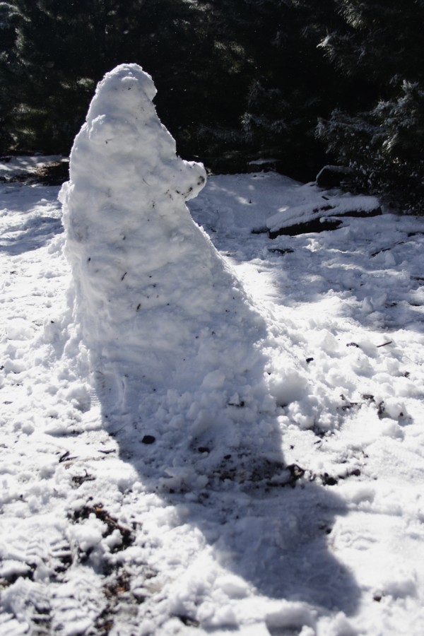 snow snow_pictures : S of Shooters Hill, NSW   10 August 2008