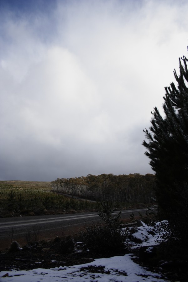 snow snow_pictures : S of Shooters Hill, NSW   10 August 2008